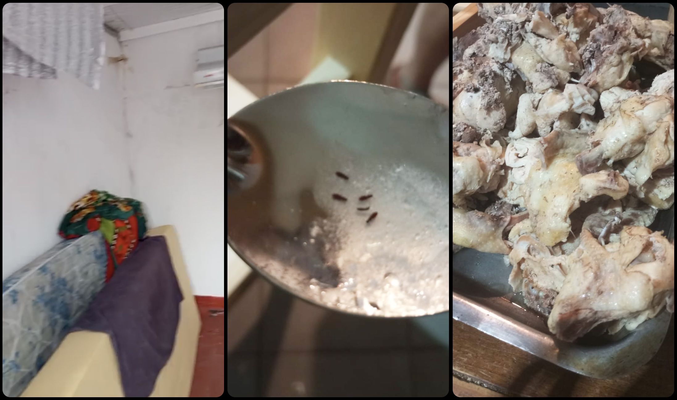 阿根廷足球造星工厂背后的残酷体系